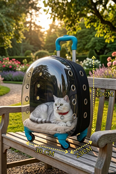 VİGİ STORE VG Premium Şeffaf Kedi ve Köpek Taşıma Valizi Çekçekli Tekerlekli