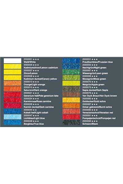 LYRA Rembrandt Polycolor Kuru Boya 24 Renk
