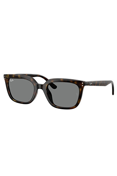 Ray-Ban Rb4439D 710 87 54 Unisex Sunglasses
