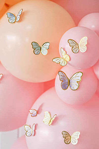 Le Mabelle Multicolored 60 Butterfly Party Ornament