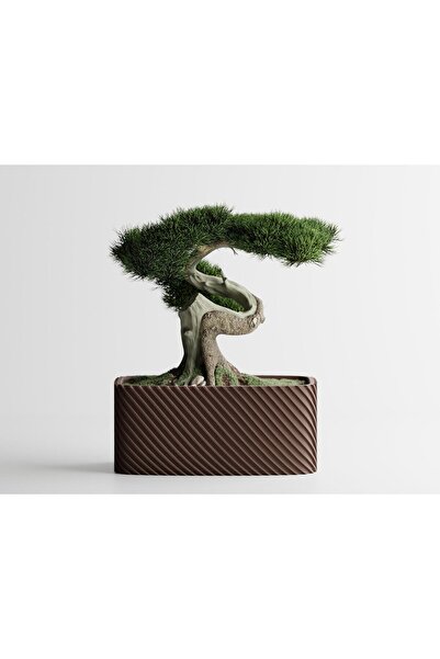 Sani Ghiveci decorativ Sani, Bonzai, mare 185 x 103 x 80 mm, maro închis mat