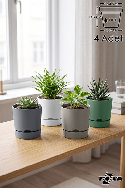 ToXA 4 Adet 1.8 Litre Begonya Saksı Tabaklı Dekoratif Mat Plastik Saksı