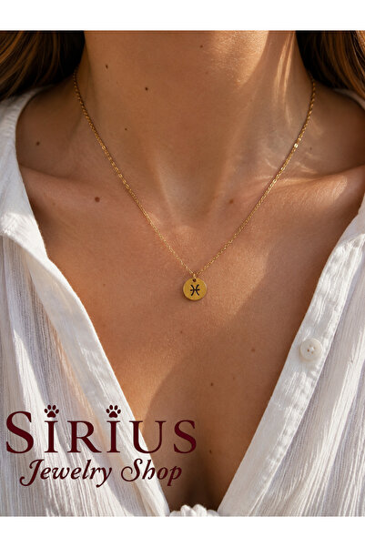 sirius jewelry 326L Çelik Balık Burcu Kolye