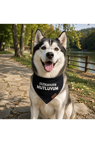 PATİMİO I'm Happy Cat And Dog Collar Scarf Bandana