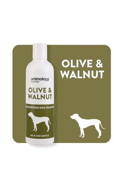 Essentials Olive & Walnut Shampoo Köpek Şampuanı 250 ML - EOWSH250A