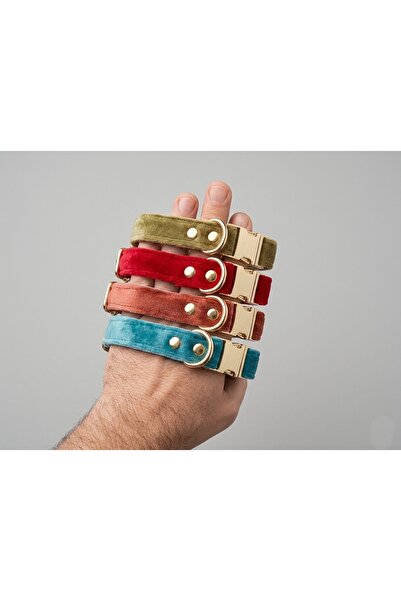 Pawsim İKişiye Özel Kadife Köpek Tasması 2 cm Küçük Irk İsimli Metal Harfli