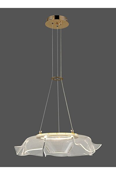 spolux Modern Lighting, Modern chandelier, Light, Flower modern pendant, Gold...