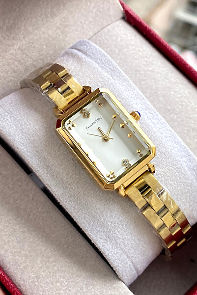 Reward Original 2 Year Warranty Women's Wristwatch Steel Band Waterproof