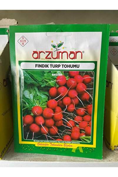 FINDIK TURP TOHUMU