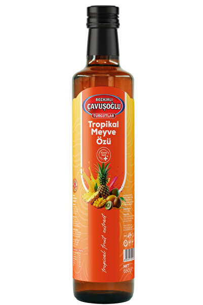 Bozkırlı Çavuşoğlu Tropikal Meyve Özü 650g