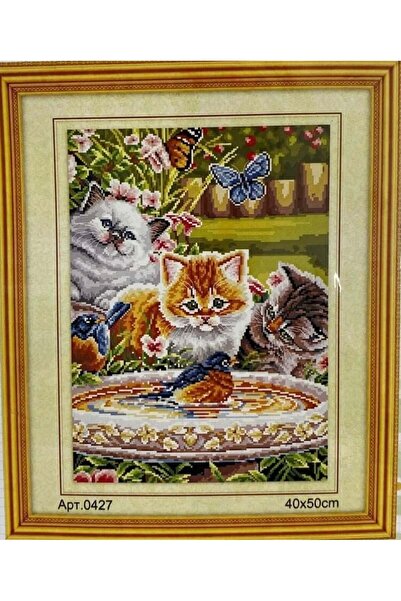 iğne izi Goblen Etamin Işleme Seti 40x50 Cm 427