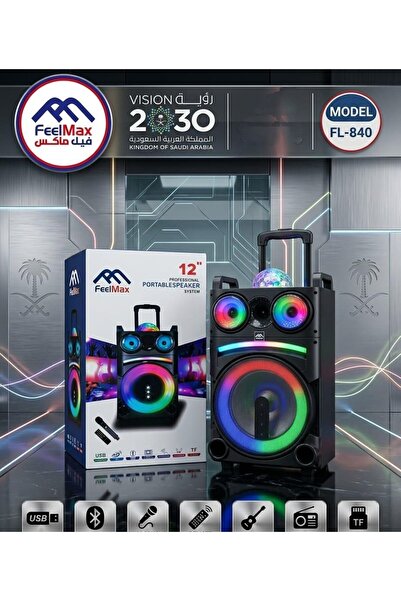 FEELMaX FL-840 trolley speaker features a 12-inch professional system with bu...