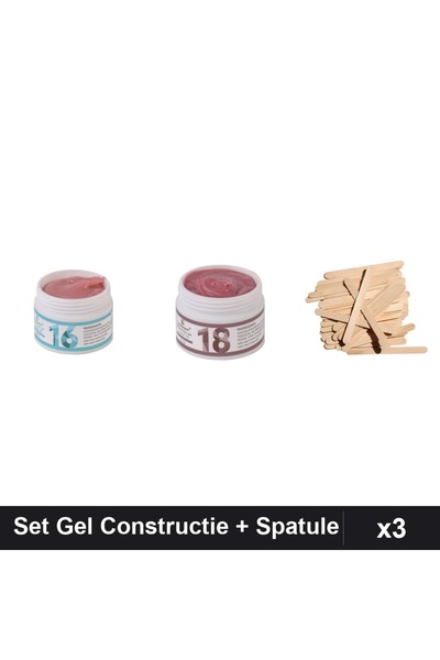 Makeup Set 3 Gel Constructie UV LED FSM 15g Nuante 16 18 + 10 Spatule Lemn Ma...