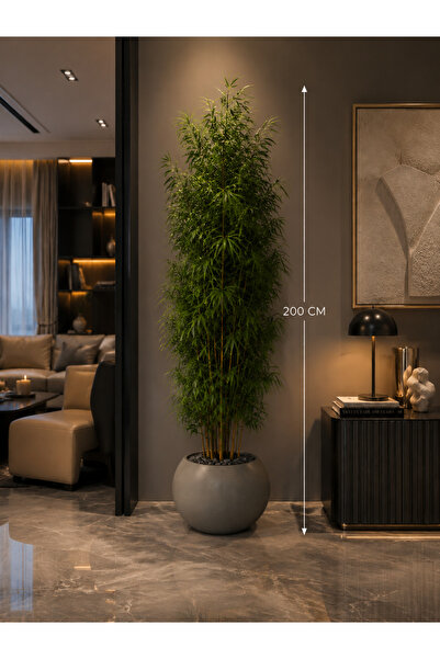 Rafef Bamboo Tree with Multiple Branches, 200 cm Long, with a Solid Core.
