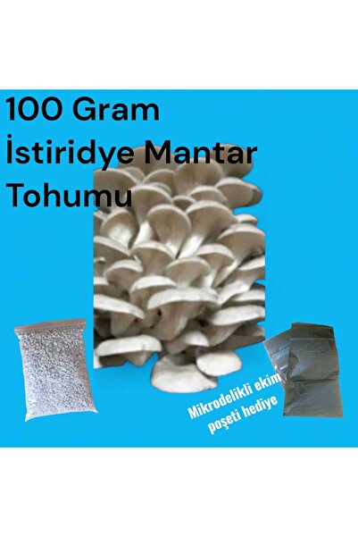 Agroma 100 Gram İstiridye Mantar Tohumu