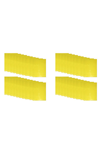 Choice1 40PCS 20-100PCS Dual-Sided Fly Paper Stickers Yellow Sticky Traps Hou...