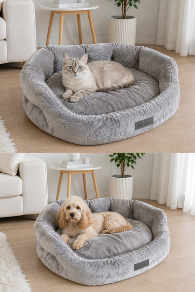 PAWİYANS Champion Box Üst Kalite Kedi Köpek Yatağı ,Soft Kumaş,Yıkanabilir %1...