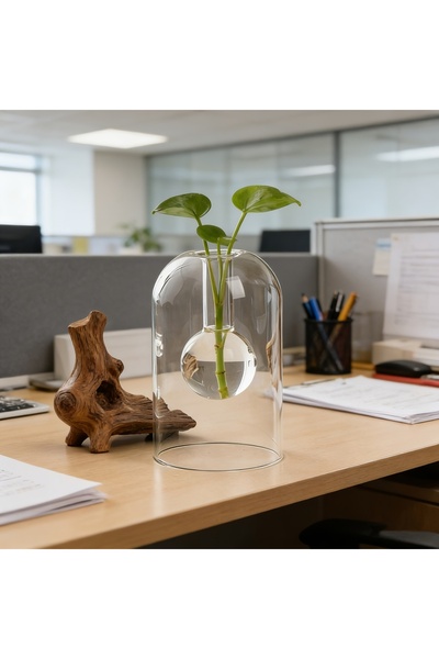 Choice Circle Double Layer Glass Planter, Hydroponic Vase. Minimalist desktop...
