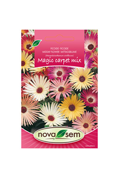 Novasem Seminte de flori ficoide amestec Novasem, 0,3 g