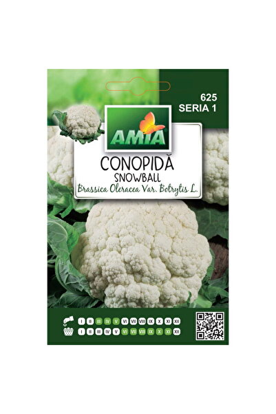 Amia Seminte de conopida Snowball, 1 g