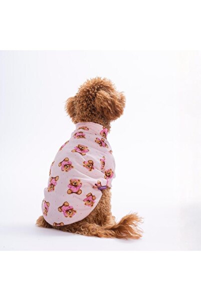 Pettrend Pinky Bear Ayıcık Desenli Kedi Köpek Sweati - Kedi Köpek Kıyafeti-Ke...