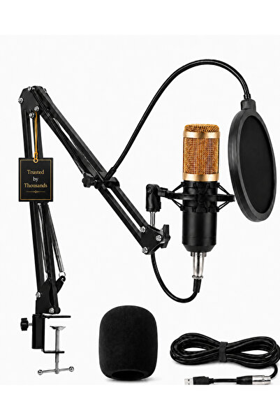 Waite Payging Professional USB Condenser Mic Set With Boom Arm Stand Shock Ho...