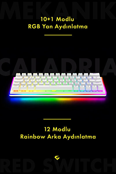 gameagle Caladria RGB Kablolu RGB + Rainbow TR Layout DoubleShot Full Anti-Ghosting Mekanik Oyuncu Klavyesi