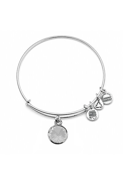 Alex and Ani Metal Bracelet A12EB243RS