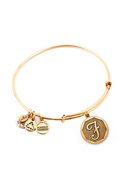 Alex and Ani Bratara Metal A13EB14FG