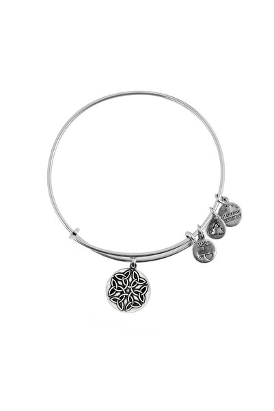 Alex and Ani Bratara Metal A16EBEKRS