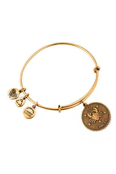 Alex and Ani Bratara Metal A07EB40CNRG