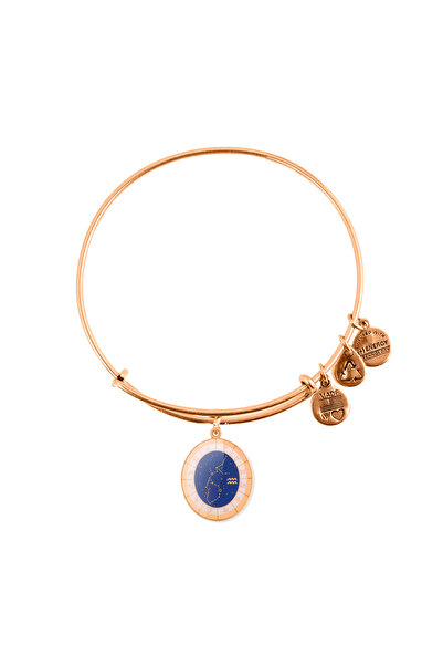 Alex and Ani Bratara Metal A15EB59YG