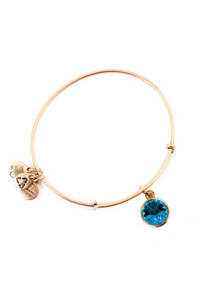 Alex and Ani ΓΥΝΑΙΚΕΙΟ ΒΡΑΧΙΟΛΙ A12EB251RG (19-25ΕΚ.)