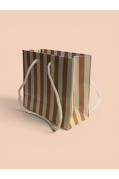 tugce shopping 10 Adet Premium Çizgili İpli Karton Hediye Çantası 11x10 cm | ...
