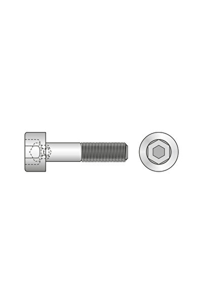 Rocast Surub Cap Mic Inbus 6912 Otel Gr.8.8-M16 X 160