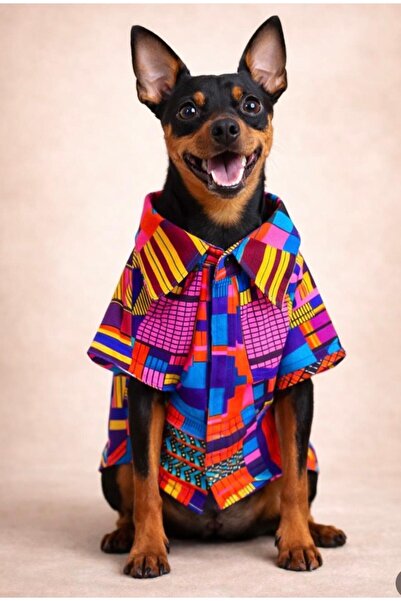 Alphadog Havana Small Breed Dog Shirt