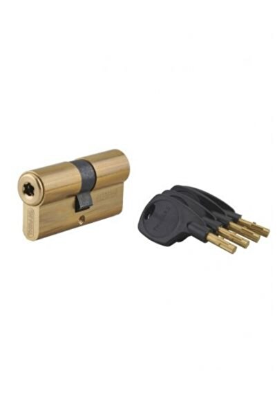 THIRARD Cilindru de înaltă securitate pentru ușă, 31 x 31 mm, Surveyor
