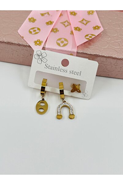 Bozhi Earrings Steel Silver Elegant Gift