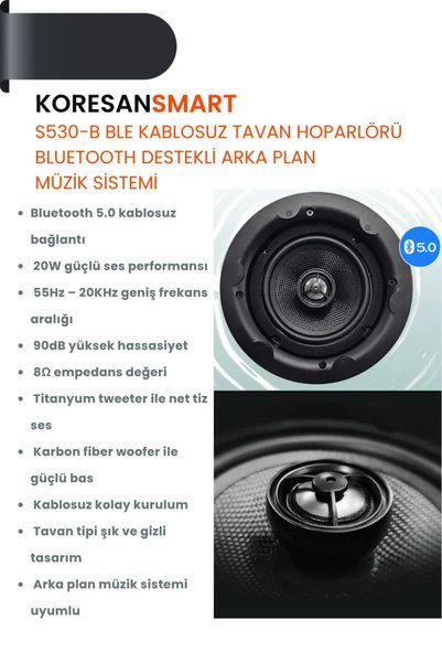 koresan S530-B Bluetooth Kablosuz Tavan Hoparlörü – Ana Hoparlör