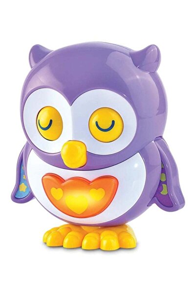 Generic Musical Owl Toy, Purple, Light-Up Baby Toy with Sound, Toy for Infant...