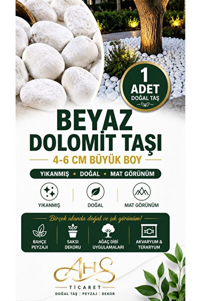 AHS Beyaz Dolomit Taş 1 Adet 4-6 cm Dere Çakıl Taşı Bahçe Peyzaj Süs Taşı Sak...