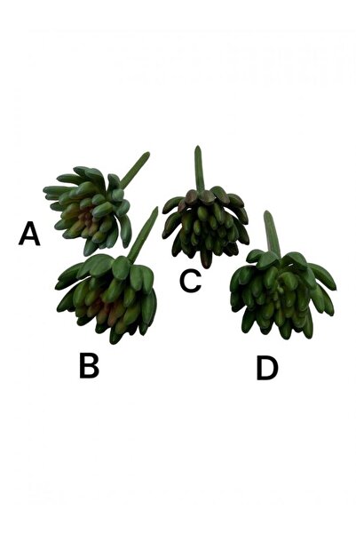 OEM Plante Suculente Artificiale 09165-3-4 8x12cm (Set 3 buc) \"D\"