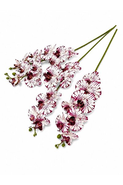 OEM Orchid 9 Flowers White Grena Lines A302-22