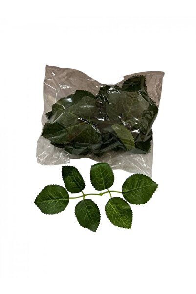 OEM Frunze Trandafiri 100/Set
