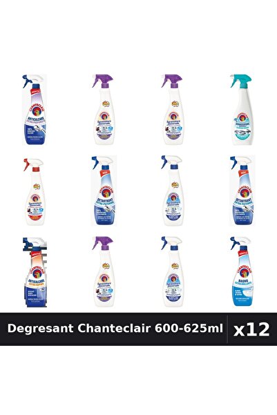 Chanteclair Set 12 Degresant Universal 600-625ml - 9 Arome Asortate Curatenie