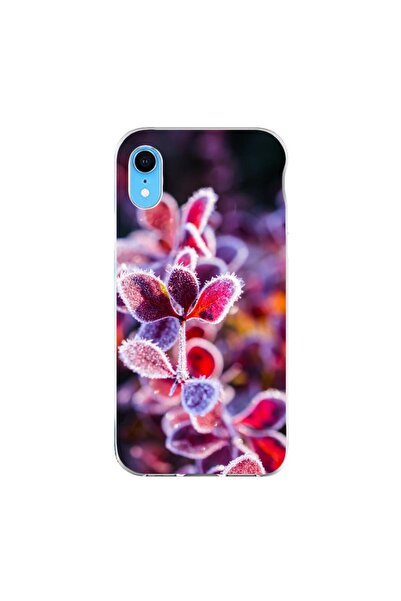 OEM Husa compatibila cu Apple iPhone XR Silicon Gel Tpu Model Flori Inghetate