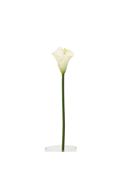 Midas Furniture ARTIFICIAL FLOWER 65CM PLASTIC CREAM