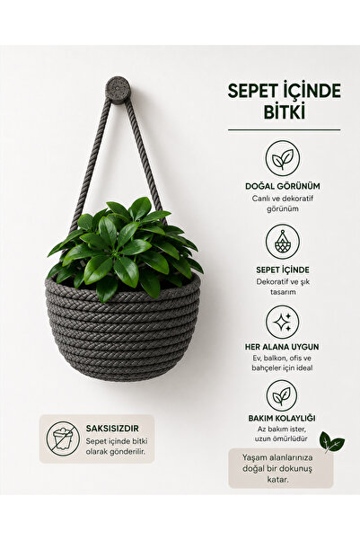 ÖRGÜM Yapay Çiçek Mini Sepetli Dekoratif Bitkili Mini Duvar Sepeti 10x10 Cm