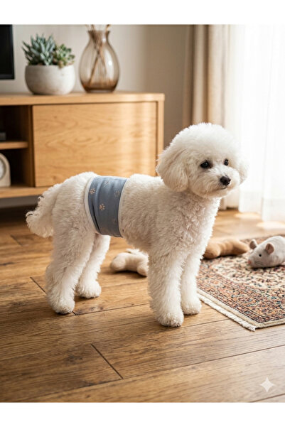 Köpek bel bandı, hijyenik köpek bel bandı, malikane kemeri