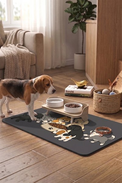 MatGo Pati Kedi Köpek Beslenme Matı 50x70cm Su Geçirmez Mama Kabı Altlığı Paspası Köpek Sofrası